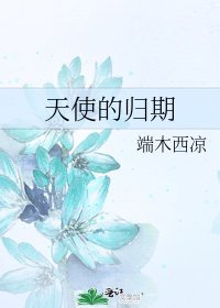 天使的归期